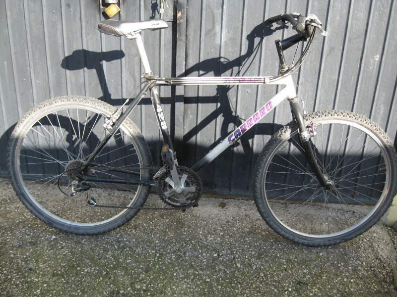 Bicicletta mountain bike anni 90